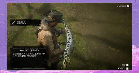 荒野大镖客怎么捕鱼