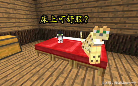 我的世界豹猫有什么用