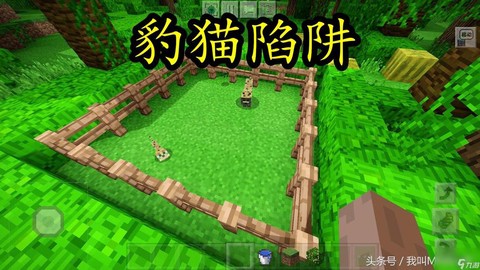 我的世界豹猫有什么用[图1]