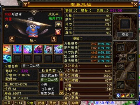 天龙八部熊猫打什么技能[图2]