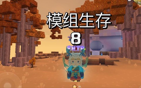 迷你世界砾石长什么样