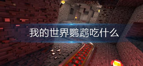 我的世界鹦鹉吃什么[图1]