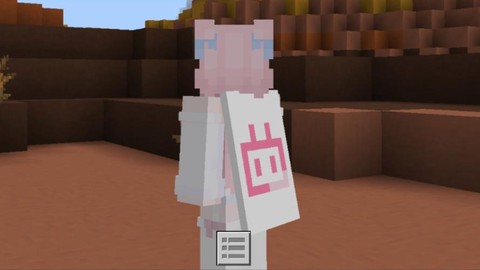 我的世界自定义皮肤怎么弄