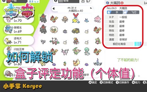 宝可梦怎么查看资质