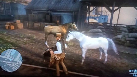 荒野大镖客2什么马好