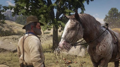 荒野大镖客2什么马好[图2]