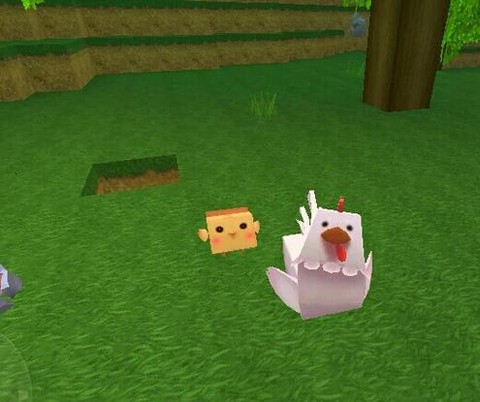 迷你世界鸡怎么交配[图2]