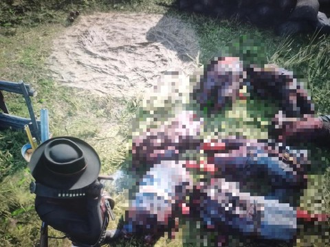 荒野大镖客如何联机[图1]