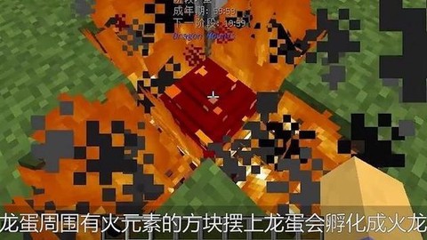 我的世界怎么驯服龙蛋