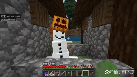 我的世界突变雪傀儡怎么做视频[图1]