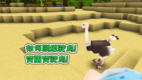 迷你世界怎么训练鸵鸟[图2]