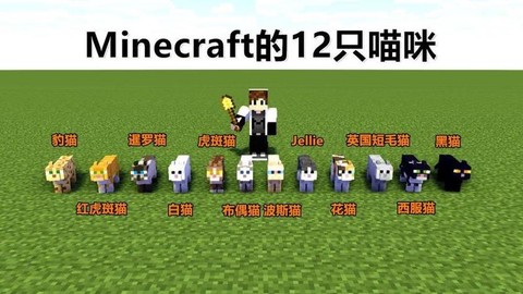 我的世界猫怎么染色[图2]