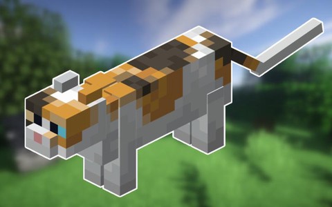 我的世界猫有什么用处[图1]