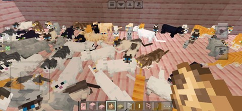 我的世界猫有什么用处[图2]