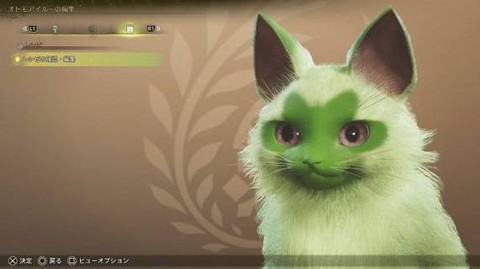 怪物猎人什么猫最好