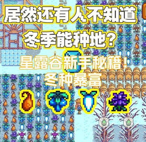 星露谷物语养什么赚钱