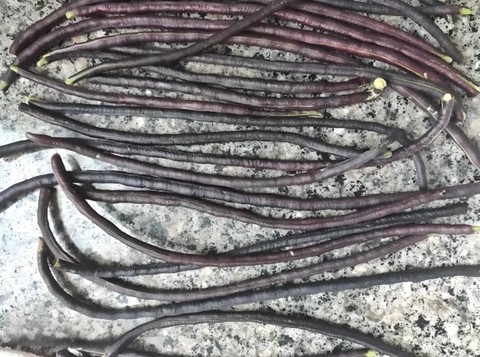 暗黑破坏神豆角是什么[图2]